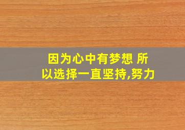 因为心中有梦想 所以选择一直坚持,努力